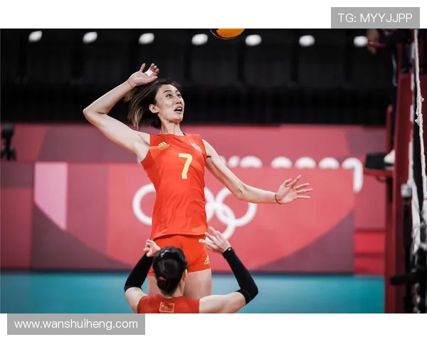 上海排球队灵活性引发热议球迷观点分歧分析