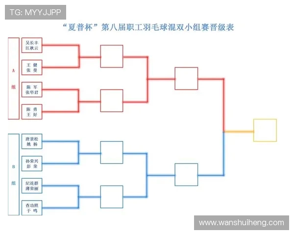 南京羽毛球队在联合会杯中的拼搏历程与荣耀时刻回顾
